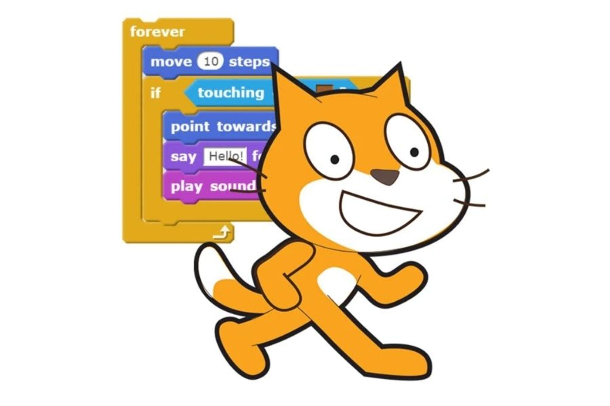 Challenge Image