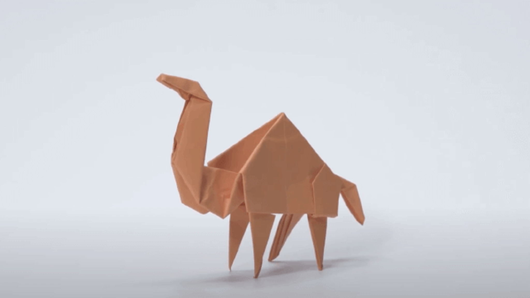 Challenge Image