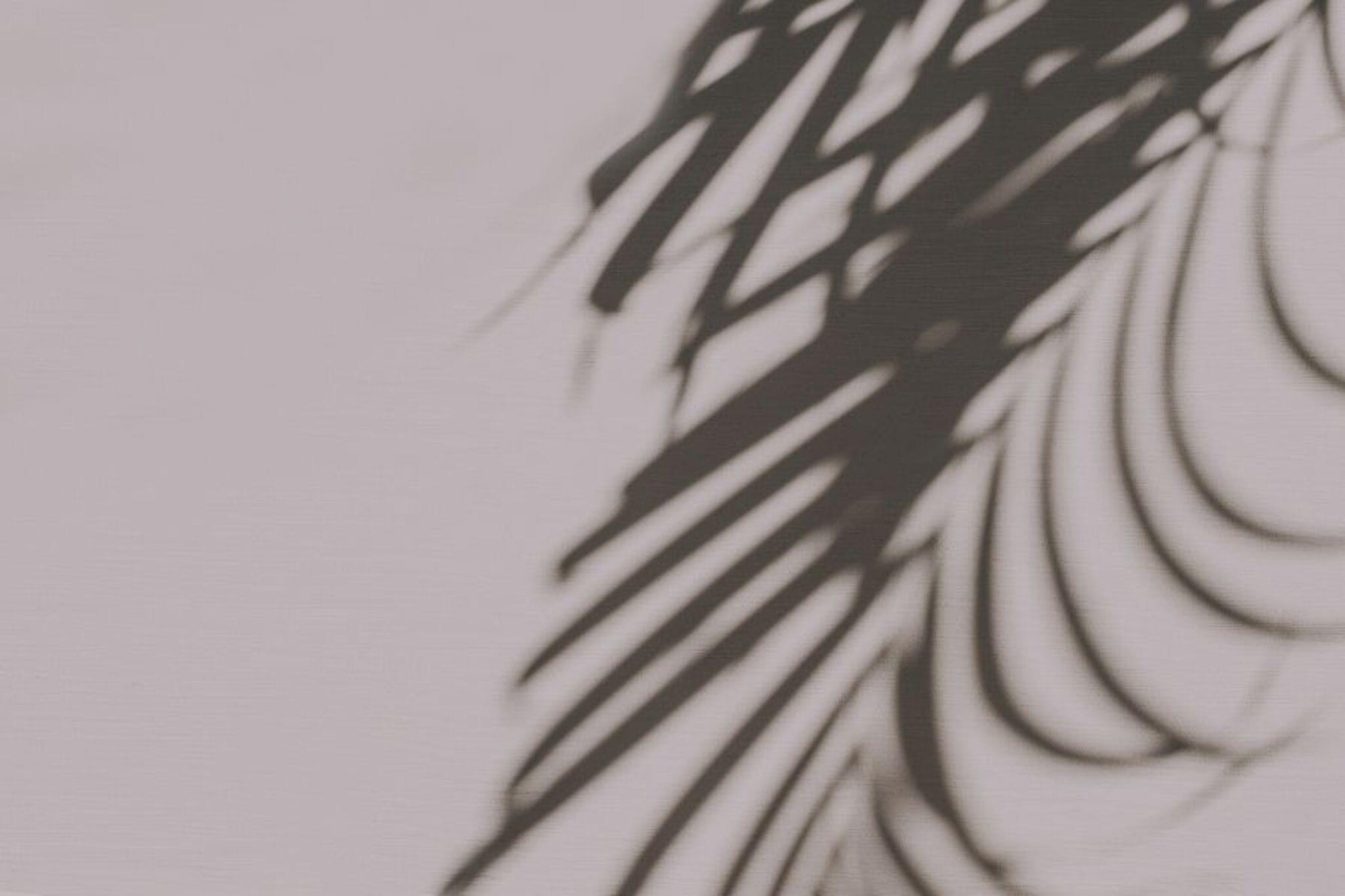 Challenge Image
