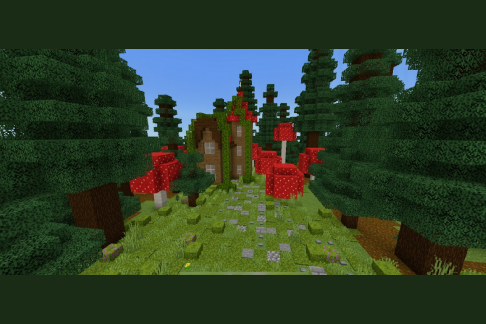 Challenge Image