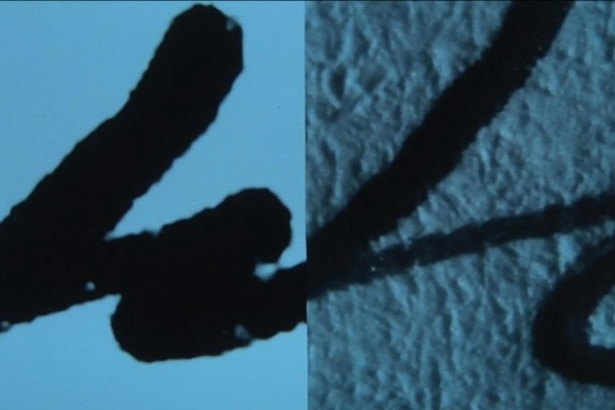 Challenge Image
