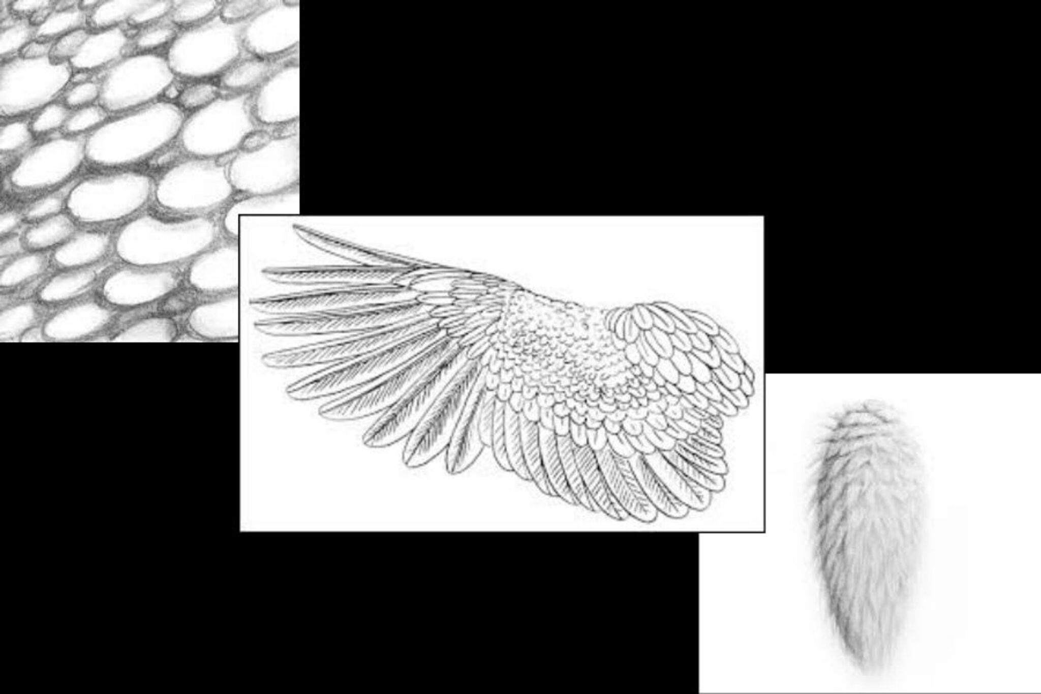 Challenge Image