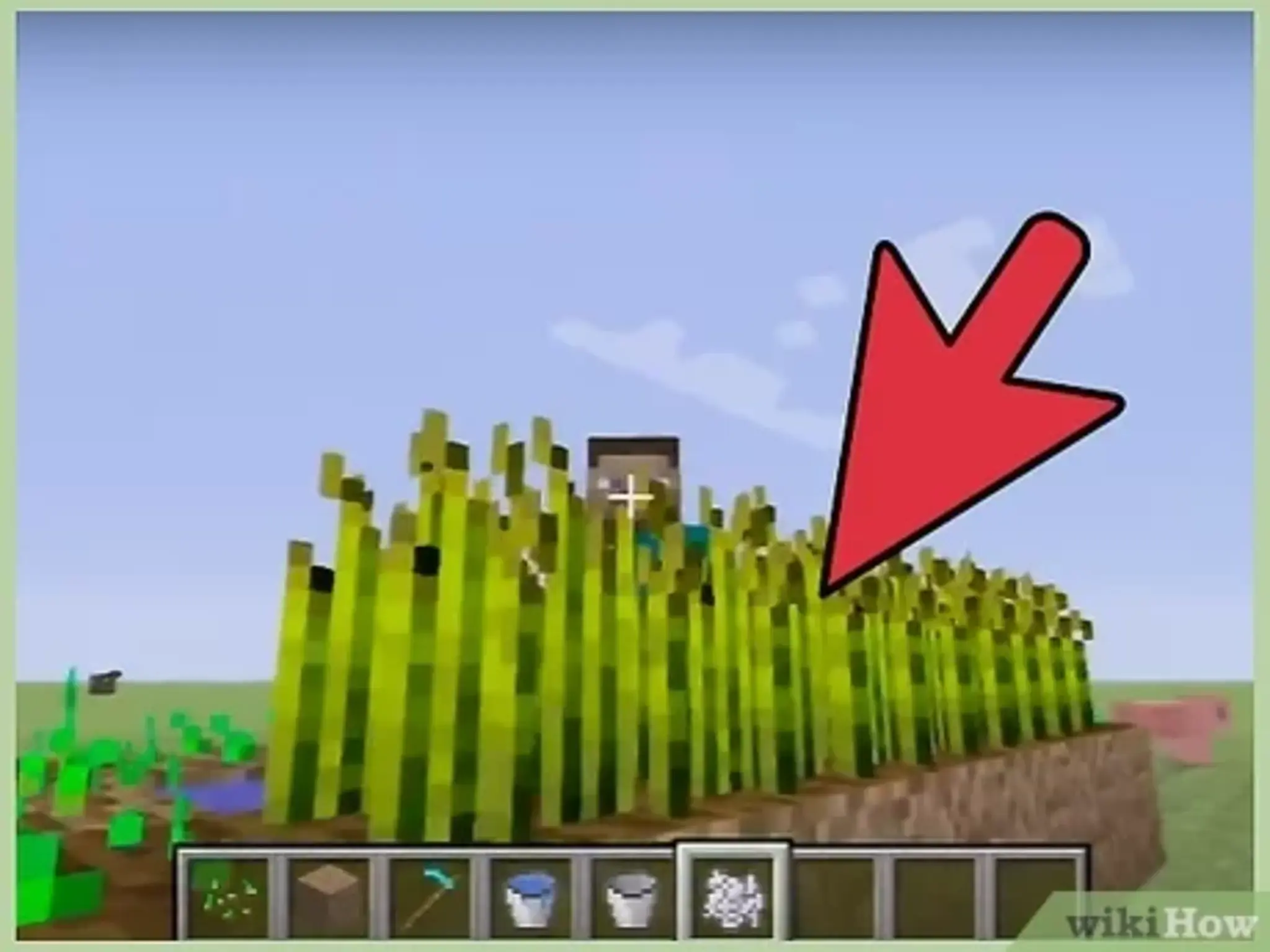 Challenge Image