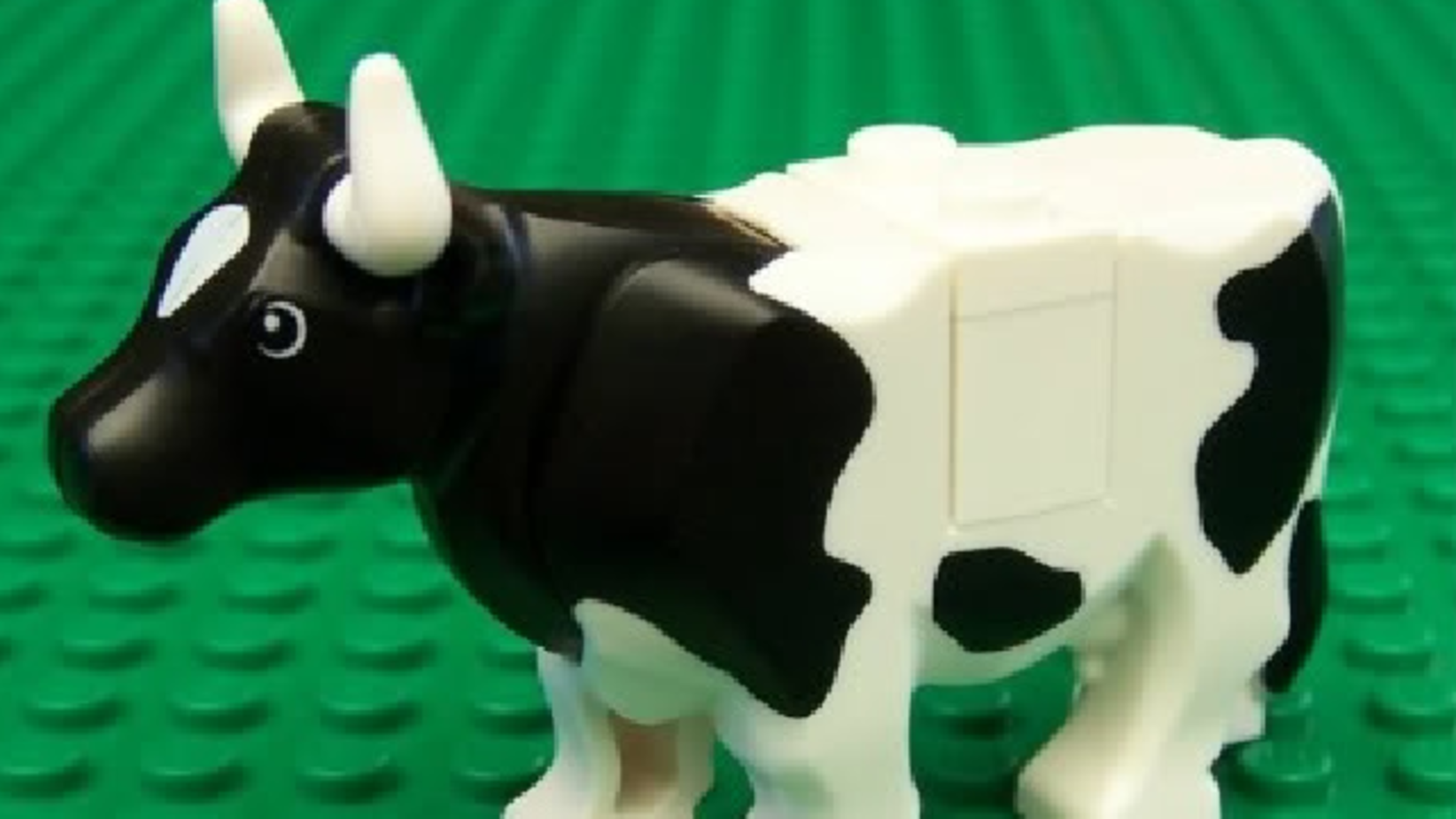 Challenge Image