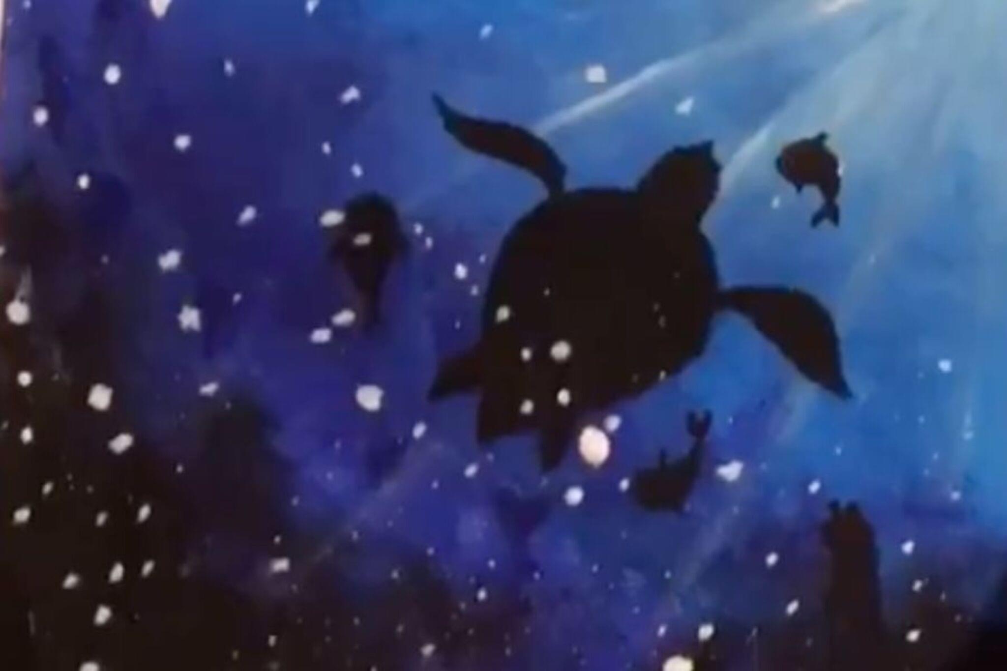 Challenge Image