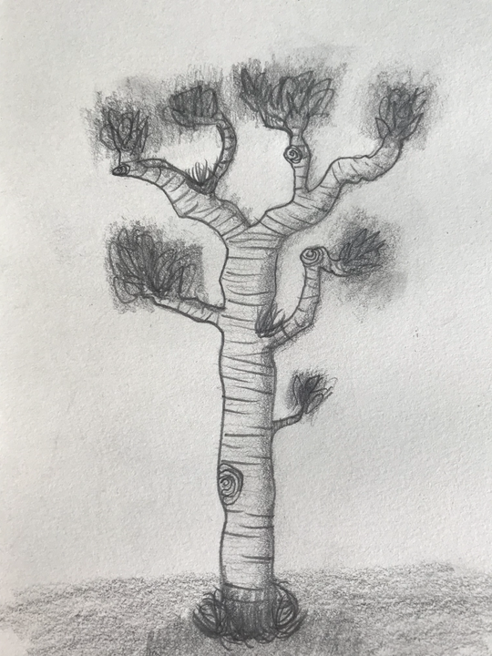 Challenge Image
