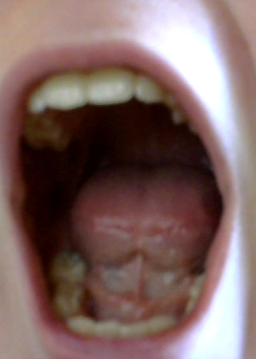 Challenge Image